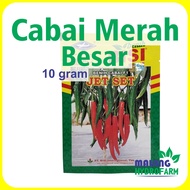 Benih Cabai Merah Besar Jet Set F1 10 gram Cap Kapal Terbang dataran menengah tinggi bibit biji sayu