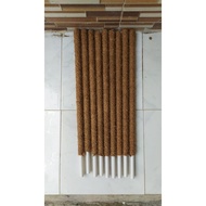 Plant vines 80 cm long, plant vines