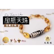 宝瓶天珠 TREASURE VASE DZI 老天珠 ANTIQUE DZI  宝藏之珠