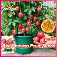 100% Original 100pcs Fresh Red Passion Fruit Seeds for Planting Fruits Plants High Yield Purple Pass
