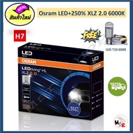 Osram หลอดไฟหน้า รถยนต์ XLZ 2.0 Next Level Honda City 1.0 Turbo 2020- LED+250% 6000K รับประกัน 1 ปี 