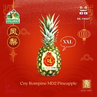 CNY Rompine  MD2 Pineapple  XXL (2kg-2.8kg) - 1pc | Dr.fruit