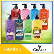 [Bundle of 3] GINVERA World Spa Shower Scrub 750ml x3