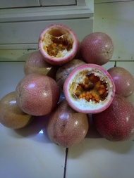 buah markisa manis + selai markisa