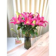 Sino Red Multi-Head Perfume Lily Flowers Yunnan Base Straight Hair Household Hydroponic Fresh Cut Fl