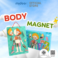 Mideer มิเดียร์ Body Magnet มิเดียร์ ชุดแม่เหล็กเรียนรู้ร่างกายมนุษย์ CT7013