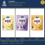 [ILDONG Foodis] Korean Organic Baby Rice Snack 40g | Banana, Blueberry & Tangerine [2packs]