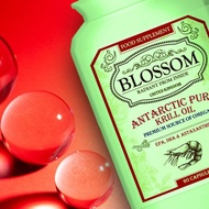 英國Blossom純南極磷蝦油 (60粒)