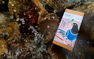 【臺灣藍鵲茶 東方美人120g】來自坪林的環境友善茶