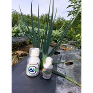 nutrisi zpt ak47 pupuk daun nutrisi akar anti rontok bun degbre 8203ce
