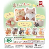 {Ready Stock} Steamed Bread Civet Cat Fox Flocking Doll BANDAI Capsule Toy Capsule Toy [Egg Lebao]