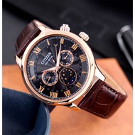 Citizen AP1059-19E Eco-Drive Moon Phase Made