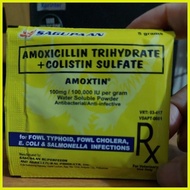 ☃ Sagupaan Amoxtin powder (1sachet)