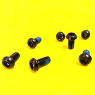 Bicycle L disc rotor bolts