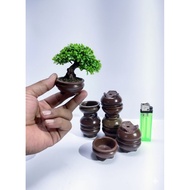Mini Bonsai Pot Round mame shito Bonsai Pot/