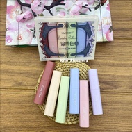 6pcs Lovely colors Highlighter light Color Cute highlighter for Bible study or devotional BC 771