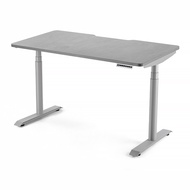 Hinomi S1 Ergonomic Home Office Standing Desk Electric Height Adjustable Dual Motor Table with 4 Mem