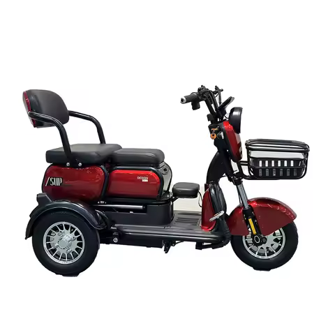 20 Inch Electric Trike adults 750W Motor Fat Tire 3 Wheel tricycle bike electro Three Wheels Adult C