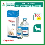 Vemedim Cequin P+S cặp 100ml dùng cho gà vịt bị E.coli tụ huyết trùng.