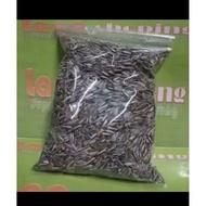 KUACI 100gram (1 ounce)