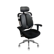 Office Ergonomic Chair with Ultimate Back Support