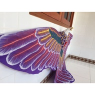 Kite Eagle Flying Kite