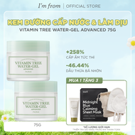 Combo 2 Kem dưỡng dạng gel Im From Vitamin Tree Water-gel 75g