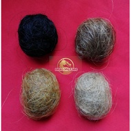 Anak Bertap / Sanggul  / Minyak Bertap 8ml