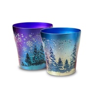 【日本製Horie】鈦愛生活系列-日本製純鈦雙層杯-雪花雙杯組250ml