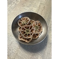Dehydrated Lotus Root Meat Chips (dogs)