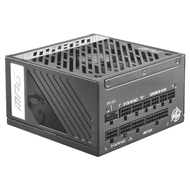 MSI 微星 MPG A1000G PCIE5 電源供應器