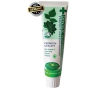 Dentiste Plus White Nighttime Toothpaste Tube 160g