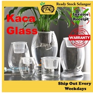 Pasu Kaca bulat Glass Vase Goose egg shape hydroponic vase pasu bunga air pasu aquarium ikan dragon 
