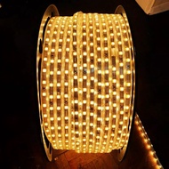 WARMWHITE SMD 5050-60D waterproof AC 220V LED STRIP Meter Light