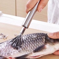 NEW 2in1 Super Convenient Stainless Steel Fish Scaling Coconut Peeler GS