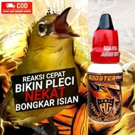 Bird VITAMINS KINGGOYANG PLECI BOOSTER HIGH DOSAGE BIRD DOPING KING GOYANG PLEMAN COMPETITION
