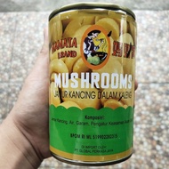 MAMATA WHOLE MUSHROOM (CAN BUTTON MUSHROOM) 425GR