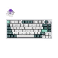 Keychron Q1 HE QMK 2.4 GHz/Bluetooth/WiredWireless Custom Mechanical Keyboard , 75% Layout Hot-Swapp
