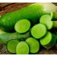 20h KIMCHI Green Radish Seeds Are EASY TO GROW
