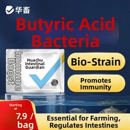 HUAXU | Shrimp White Feces Enteritis Probiotics