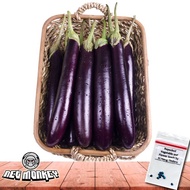 Eggplant Fortuner F1 | Long Purple Seed ( 15 Seeds )