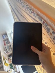 ipad mini7 紫色 5g 流動網絡
