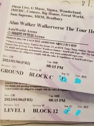 平放 Alan Walker x mirror