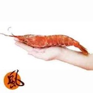 【風海鮮】阿根廷 生食級天使紅蝦(2kg/盒)