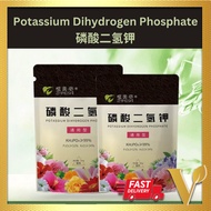 【100g】Potassium Dihydrogen phosphate 磷酸二氢钾  Special Effect Flowering Fertilizer Flowering Booster Nu