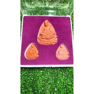 脚踏海水一套龙婆托
Ac nong 大法会
9间庙9次大法会Wat chang hai