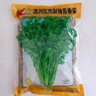 香菜種子 種籽綠領澳洲抗熱耐抽苔香菜生長葉柄亮綠有光澤香菜種子 種籽hxmm