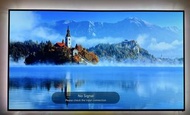 LG OLED 55” 55寸 C7P