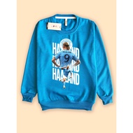 Sweater Sweatshirt Erling Haaland 9