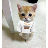 GEBU CAT HOTEL TSHIRT (CORN CAT)